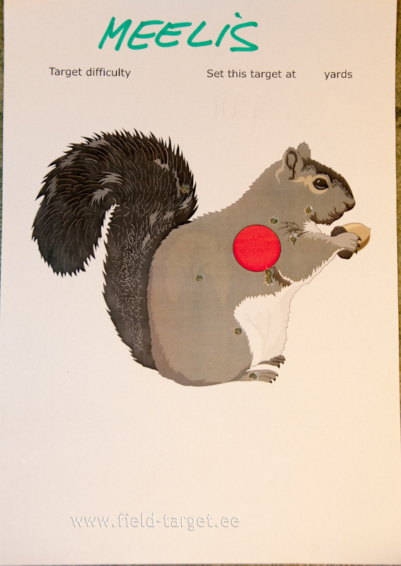 Best result (hit cloud) of blind shooting